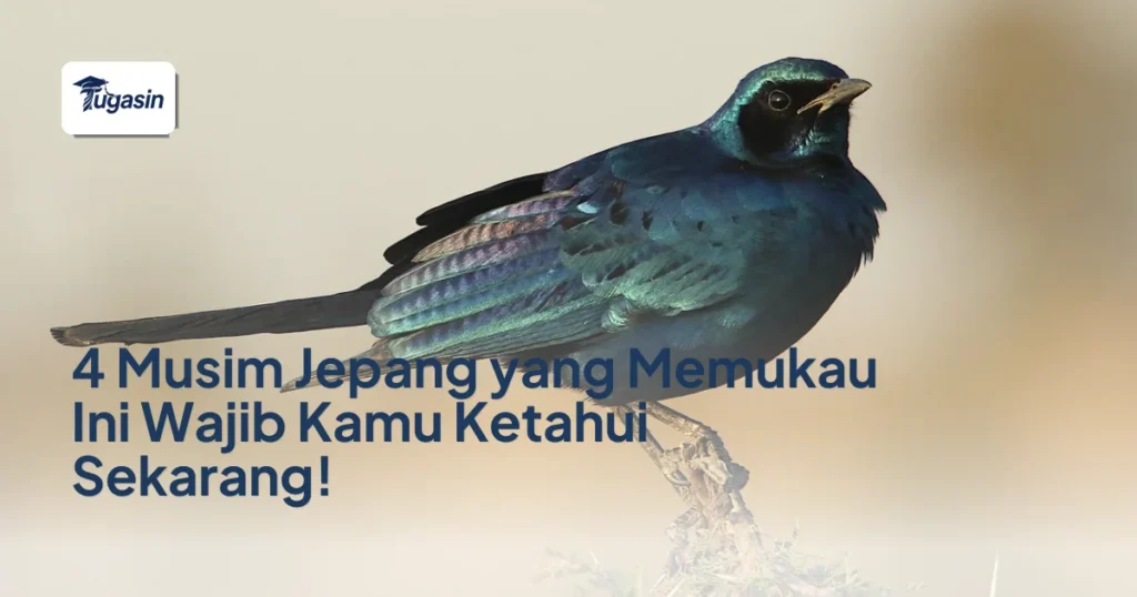 4 Musim Jepang yang Memukau Ini Wajib Kamu Ketahui Sekarang!