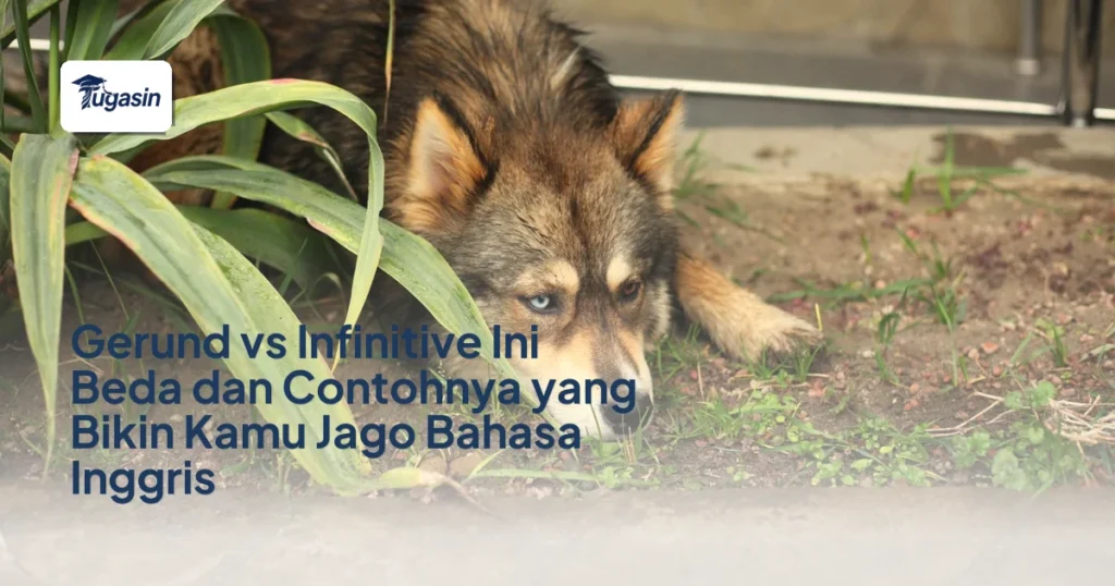 Gerund vs Infinitive Ini Beda dan Contohnya yang Harus Kamu Tahu!