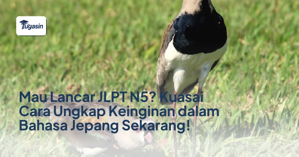 Mau Lancar JLPT N5? Kuasai Cara Ungkap Keinginan dalam Bahasa Jepang Sekarang!