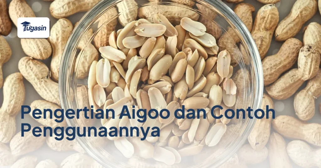 Pengertian Aigoo dan Contoh Penggunaannya