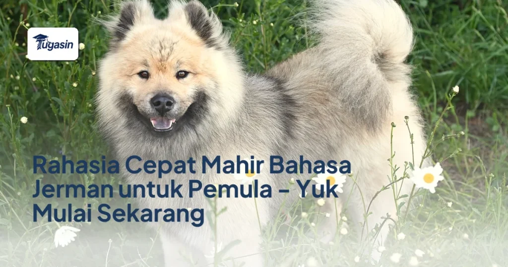 Rahasia Cepat Mahir Bahasa Jerman untuk Pemula – Yuk Mulai Sekarang