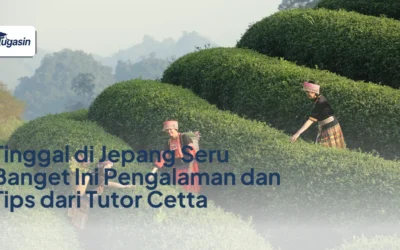 Tinggal di Jepang Seru Banget Ini Pengalaman dan Tips dari Tutor Cetta